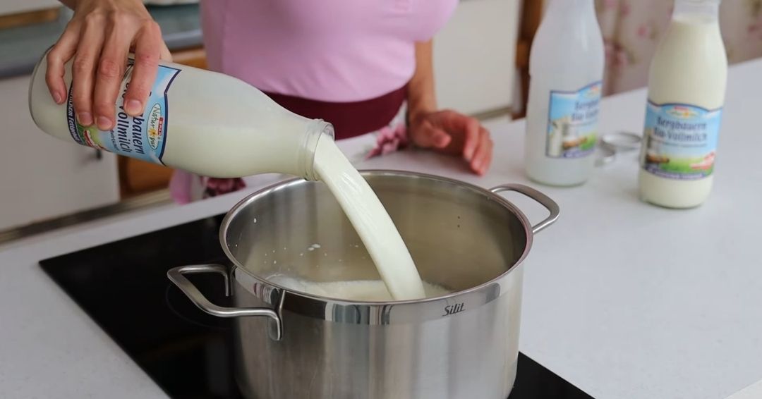 Domaći jogurt od punomasnog mleka