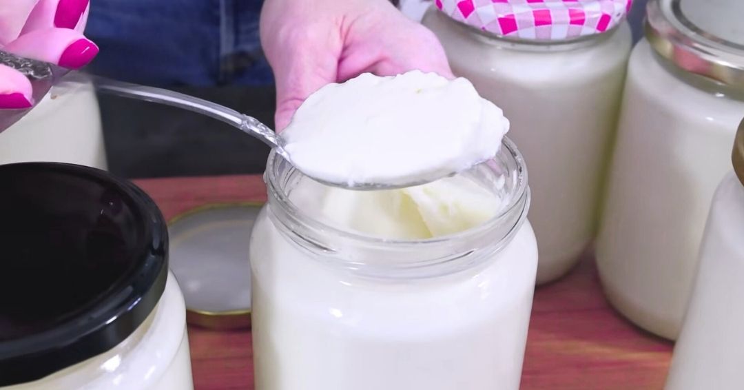domaći jogurt